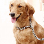 Collar de cadena metálico para perro al por mayor