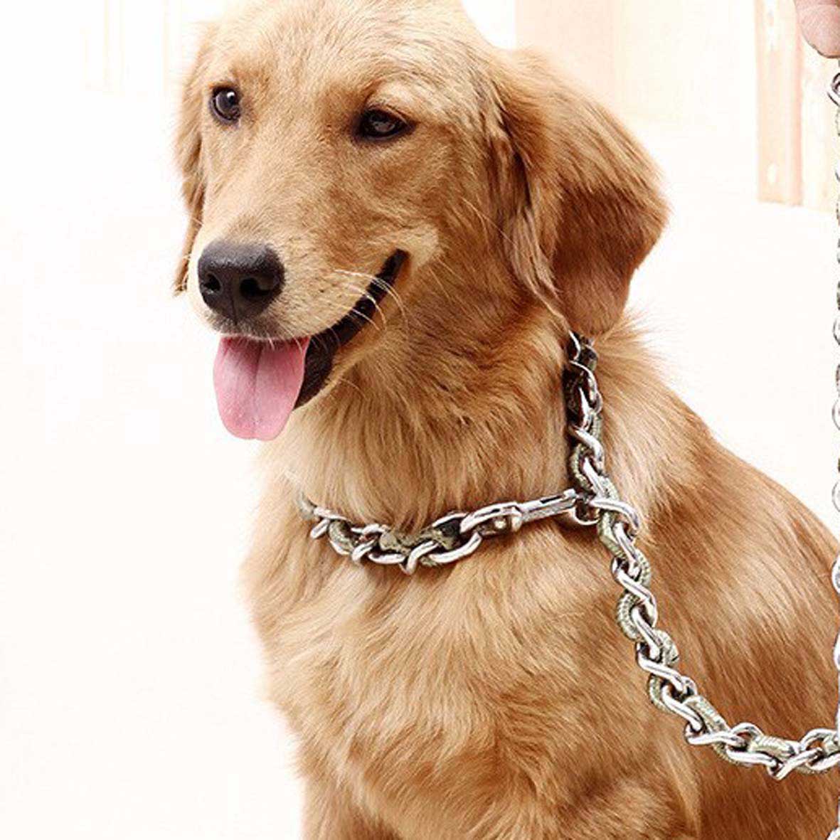 Collar de cadena metálico para perro al por mayor