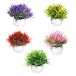 MATERA DECORATIVA (10CM)