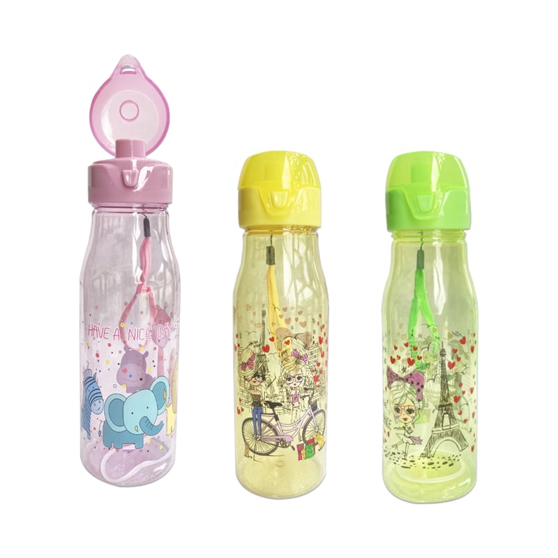 TERMO ESTAMPADO 650ML