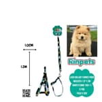 LASO COLLAR Y ARNES PARA MASCOTA 1.0*1.2M RINPETS BMR-1981-1