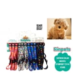 CARTON COLLAR ESTAMPADO*12 141