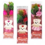 ROSAS CON OSO FELIZ DIA EN BLISTER: