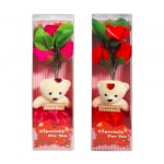 ROSAS CON OSO FELIZ DIA EN BLISTER: