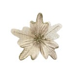 FLOR NAVIDEÑA CHAMPAÑA(BDJX300)