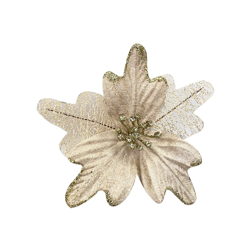 FLOR NAVIDEÑA CHAMPAÑA(BDJX300)