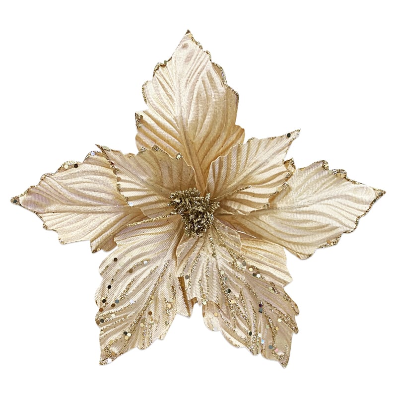 FLOR NAVIDEÑA CHAMPAÑA(BDJX 192)