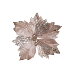 FLOR NAVIDEÑA CHAMPAÑA(BDJAX192)