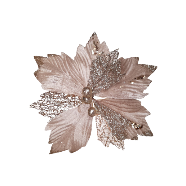 FLOR NAVIDEÑA CHAMPAÑA(BDJAX192)