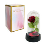 ROSA ENCAPSULADA ROJA CON LUZ