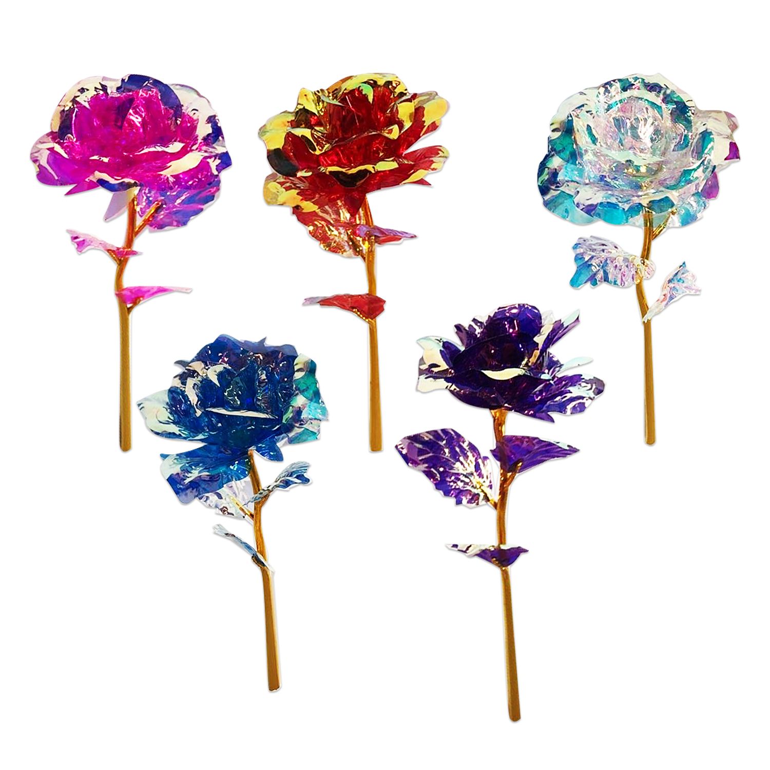 ROSA TORNASOL (PQTX12)