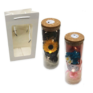 FLORES ENCAPSULADAS CON LUZ