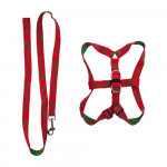 LASO COLLAR MASCOTA PQ BMR-2484-2 (PQTX12)