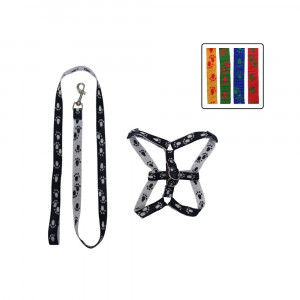 LASO COLLAR MASCOTA PQ BMR-2484-2 (PQTX12)