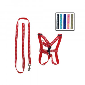 LASO COLLAR MASCOTA SURTIDO BMR-2485 (PQTX12)
