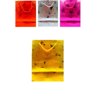 DZ. CAJA DE REGALO HOLOGRAMA 18*23*10cm BMR-3432