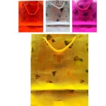 DZ. CAJA DE REGALO HOLOGRAMA 42*30*12cm BMR-3440