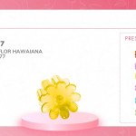 DZ CAIMAN FLOR HAWAIANA 4CM BMR-4577