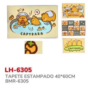 TAPETE ESTAMPADO 40*60CM BMR-6305
