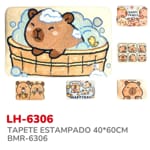 TAPETE ESTAMPADO 40*60CM BMR-6306