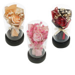 RAMO ROSAS ENCAPSULADAS CON LUZ: