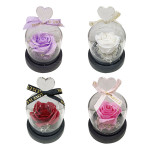 ROSA ENCAPSULADA CON LUZ
