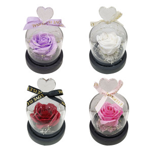 ROSA ENCAPSULADA CON LUZ