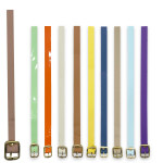 CORREA LISA SURTIDA COLORES (PQTX12)