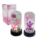 OSO ENCAPSULADO CON LUZ: