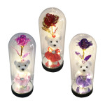 ROSA BRILLANTE CON OSO EN CAPSULA: