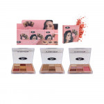 SOMBRA EYESHADOW  8 TONOS JBLES0176 (CJAX12)