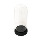 CAPSULA TRANSPARENTE CON BASE 9*20CM