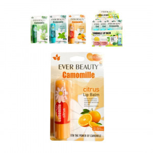 CAJA CHAPSTICK ENCARTONADO EVER BEAUTY*12PCS 7189E