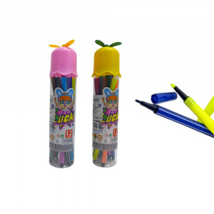 PLUMONES COLORES EN EMPAQUE LUJO DK-2021 (X12)