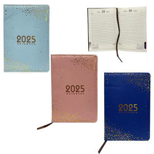 AGENDA CON DISEÑO 2025 LINEAS