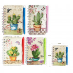 AGENDA ARGOLLADA CAPTUS.