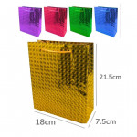 DZ. BOLSA REGALO HOLOGRAMA M 21.5X18X7.5CM BMR-381