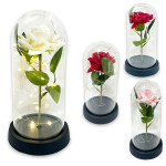 ROSA ENCAPSULADA CON LUZ: