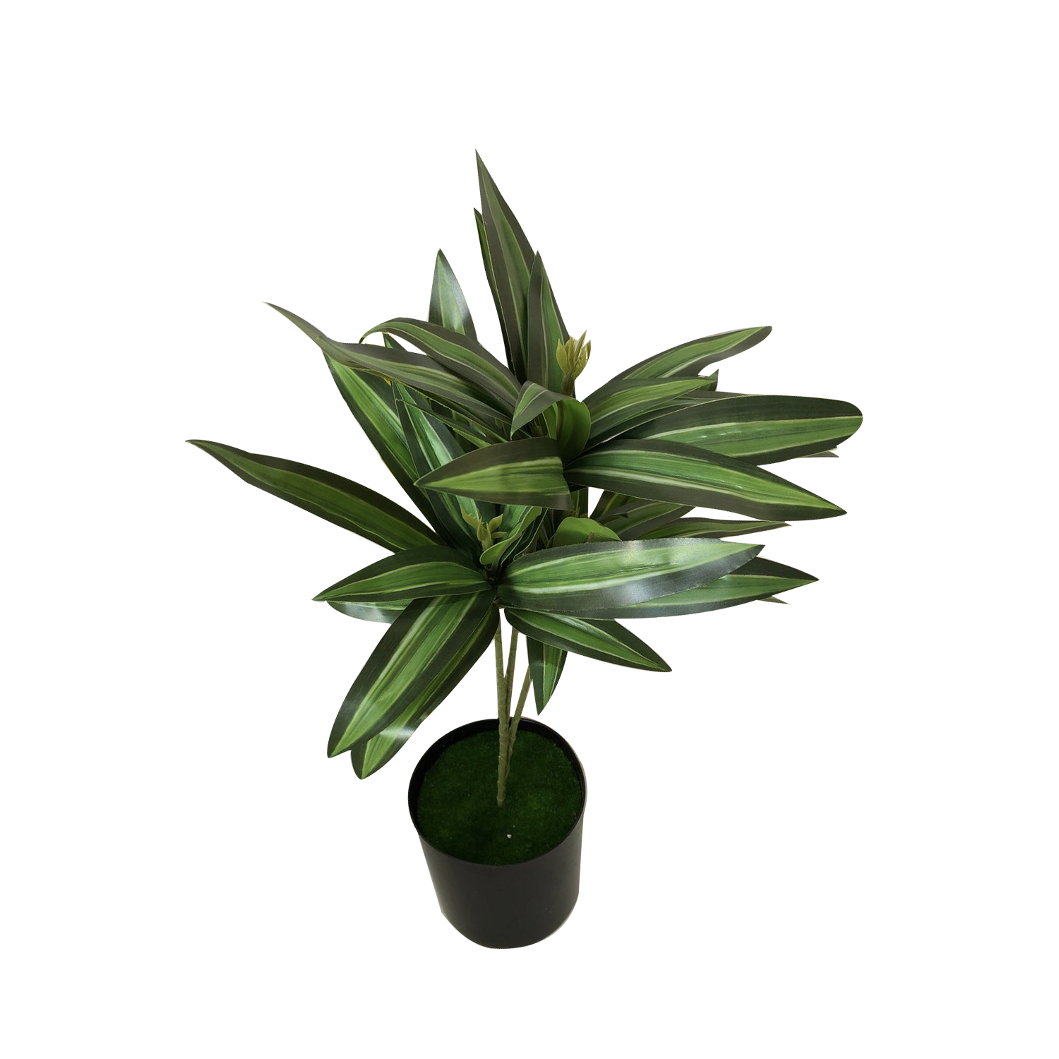 MATERA EN HOJA DECORATIVA