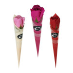 RAMO ROSA FELIZ DIA (CJX48):