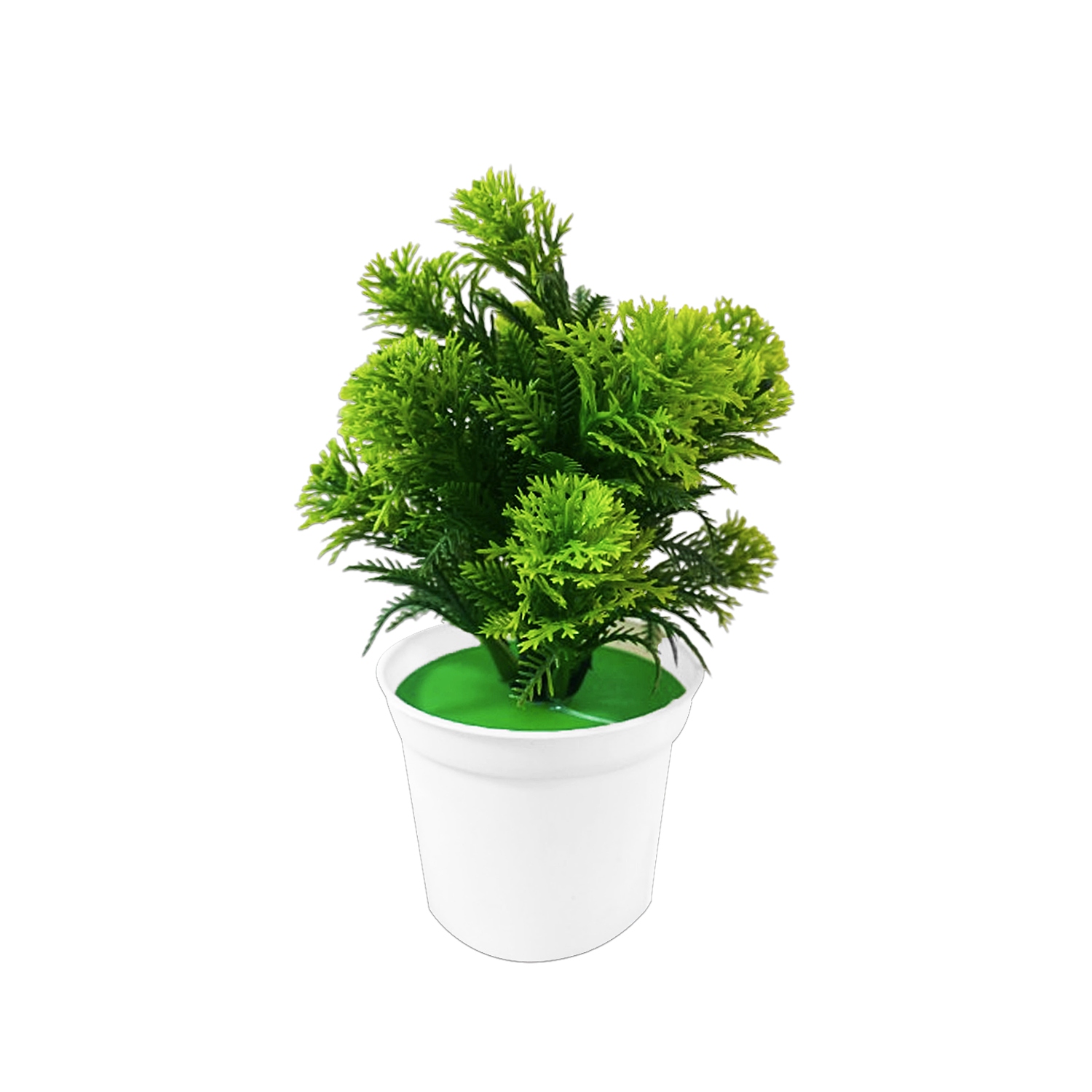 MATERA DECORATIVA (CJX100)