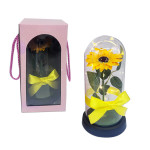 GIRASOL ENCAPSULADO CON LUZ: