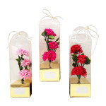 CLAVELES FELIZ DIA EN ACETATO (CJX7):