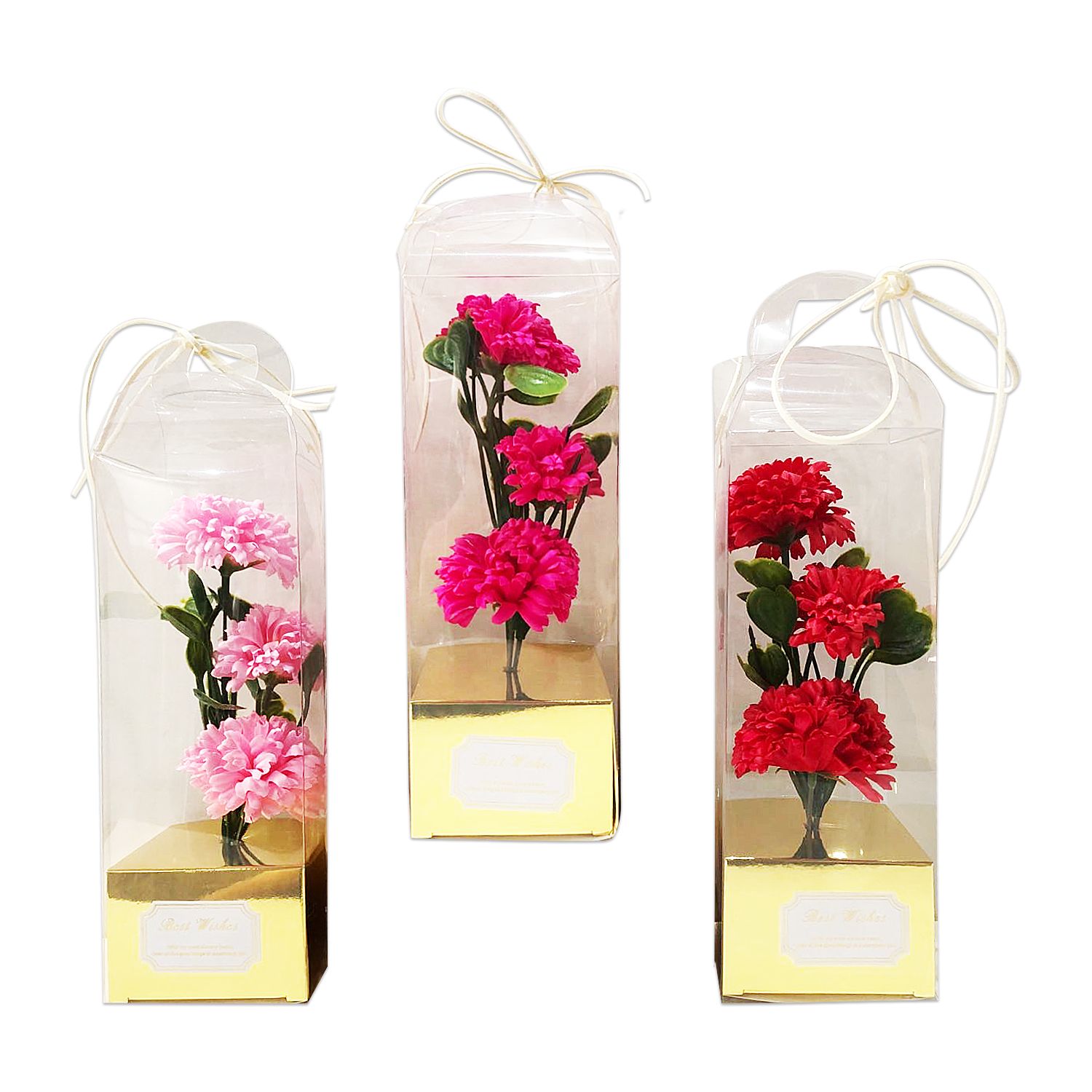 CLAVELES FELIZ DIA EN ACETATO (CJX7):