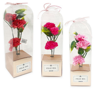 CLAVELES FELIZ DIA EN ACETATO (CJX7):