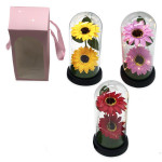 GIRASOL ENCAPSULADO CON LUZ: