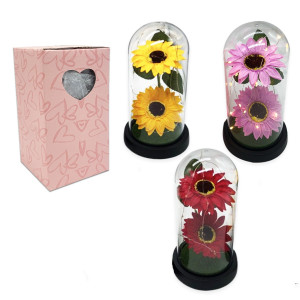 GIRASOL ENCAPSULADO CON LUZ: