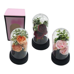 ROSAS ENCAPSULADA CON LUZ: