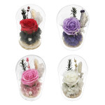 ROSA ENCAPSULADA CON LUZ: