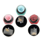 ROSA ENCAPSULADA CON JOYAS: